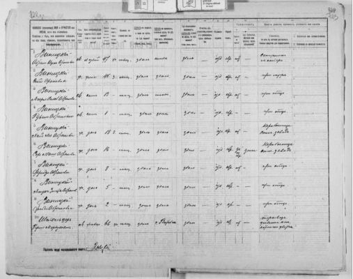 1895-winitzky-sadovaya-st-20-dvinsk